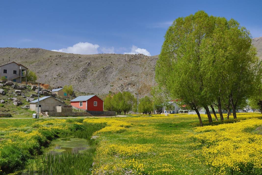 Konya’nın yalancı cenneti uyandı! Doğa tutkunları akın ediyor 6